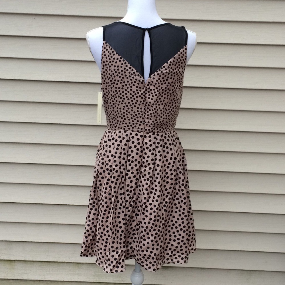 Lauren Conrad Sweet Confections Dress - Picture 4 of 8